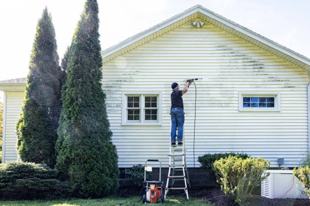 Best Historic Building Restoration  in Providence, KY